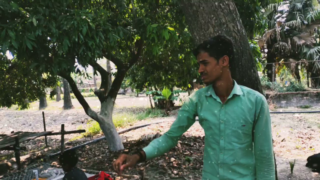 bhojpuri video status 