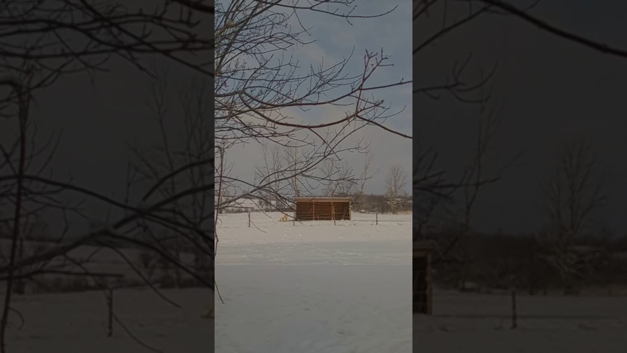 Harmonious Horses at Harmony Farm