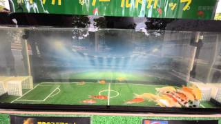 鯉もW杯！「おサッカーなワールドカップ」