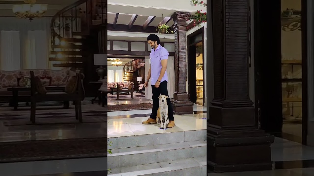 He love pets ❤️ | Aditya A super man | Bawra dil | Colors tv | BTS of bawradil