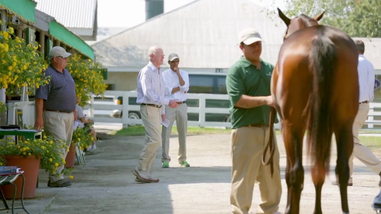 Lane's End Farm: Sales