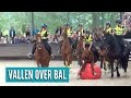 Valt paard over bal op Open Dag Bereden Politie? | Vlog #30