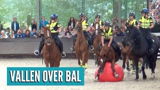 Valt paard over bal op Open Dag Bereden Politie?