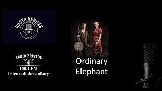 Ordinary Elephant