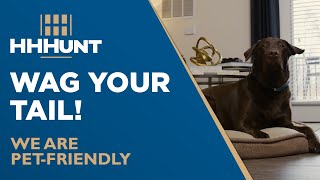 Pet-Friendly Home Communities | HHHunt