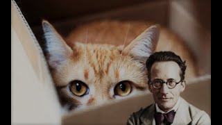 Видео МУЧАТЬ КОТОВ — ДВИГАТЬ НАУКУ? Шрёдингер и квантовая страна чудес (автор: Sandra)