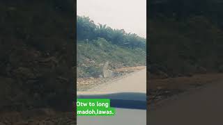 Back To My Village At Long Semadoh Lawas Sarawak Malaysia lawas sabahan 4x4offroad