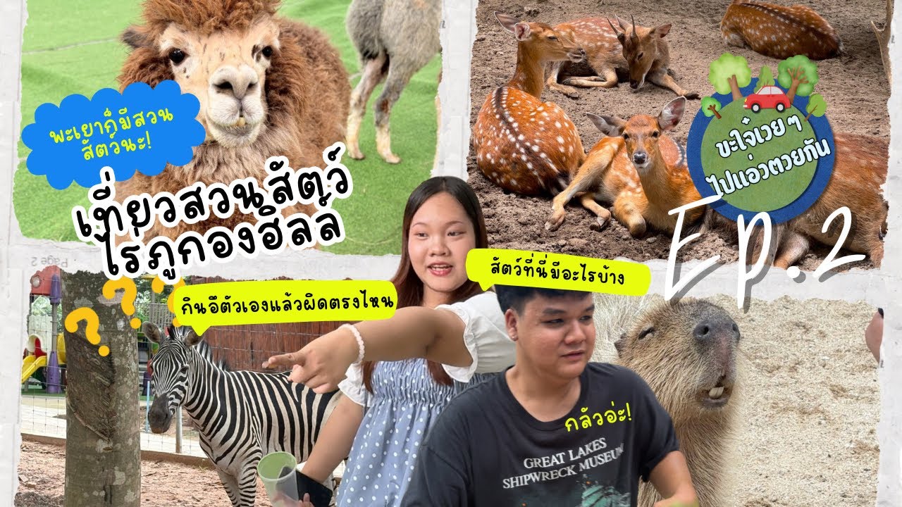 ขะใจ๋เวยๆ ไปแอ่วตวยกั๋น EP.2 | เที่ยวสวนสัตว์ไร่ภูกลองฮิลล์🍇🦫 - YouTube
