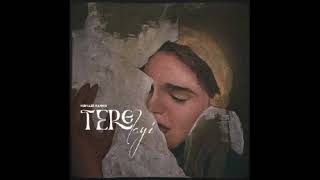 Nirvair pannu-Tere Layi  Punjabi MP3 Song Thumb