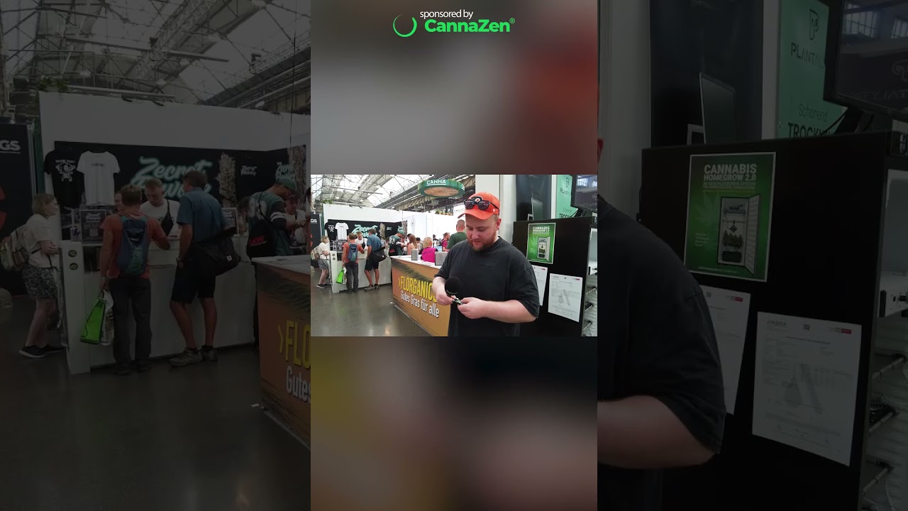 TH-ZEH GUMMIES MIT 12,5MG 🫠 