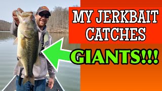 The Jerkbait Colors I trust. And the Perfect JerkBait ROD!!!