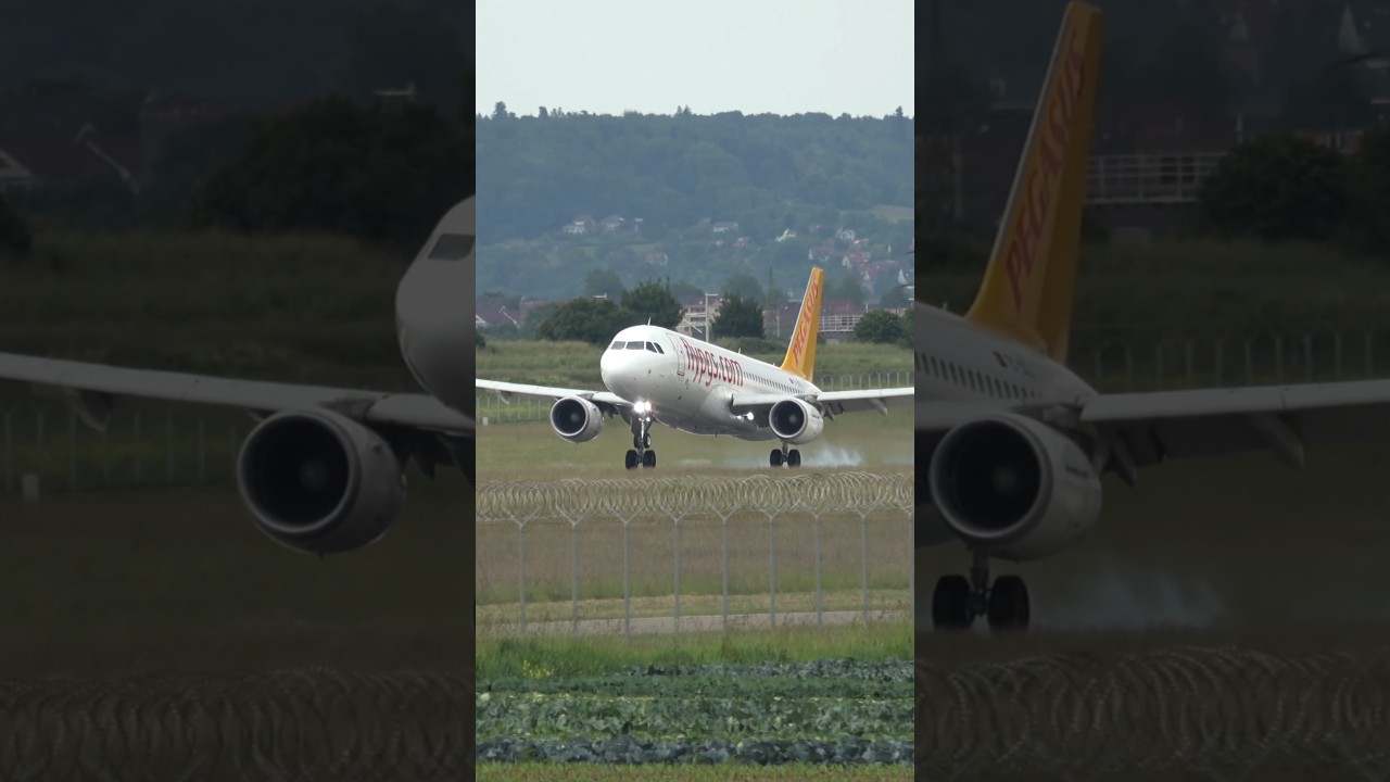 Pegasus Airlines Airbus A320 Landing at Stuttgart Airport