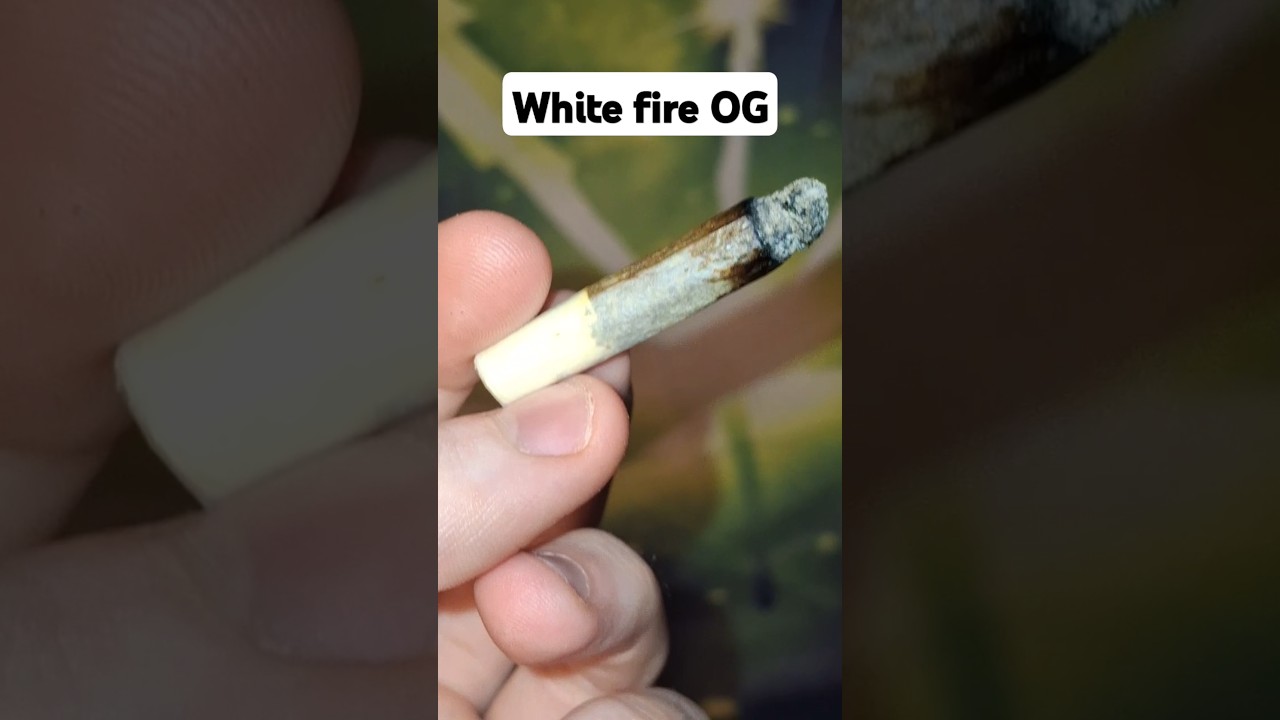 Joint of white fire OG 