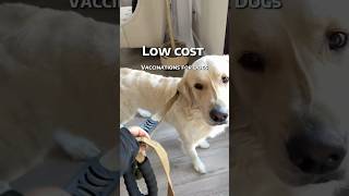 Find low cost vaccines for your pet