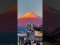 Beautiful Japan🇯🇵#japan