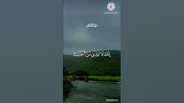 أكتب شيء تؤجر عليه ❤️‍🩹🤲🥺|سورة القصص|surah Al Quran listening 🎧 with RNHdeen97