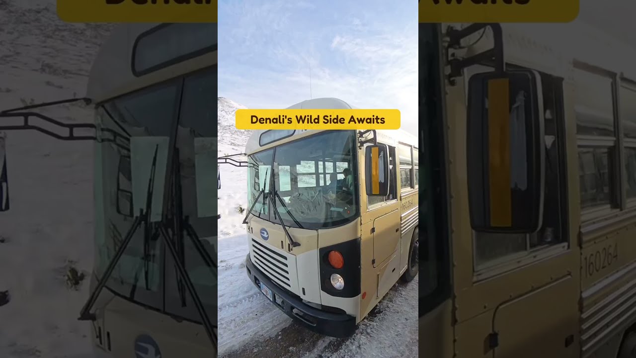 Denali's Wild Side Awaits