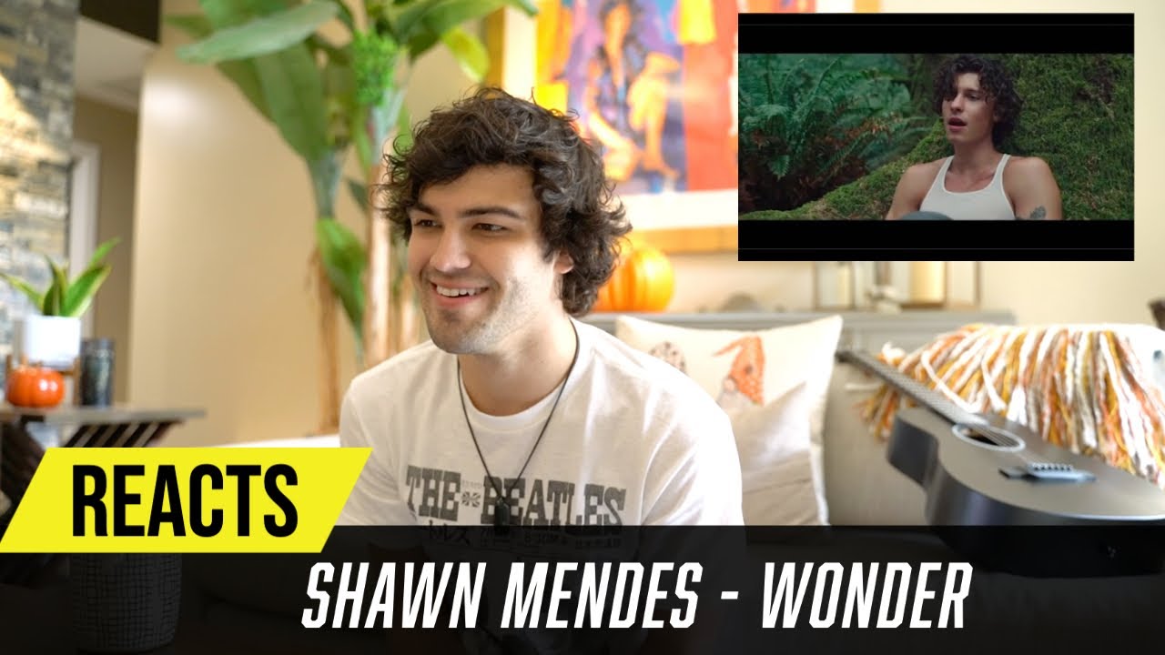Producer Reacts to Shawn Mendes  - Wonder