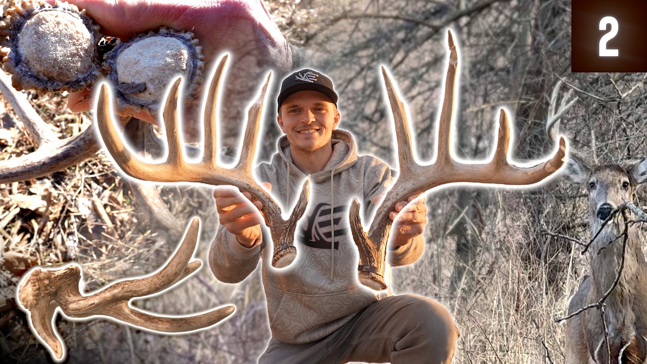 CRAZY ANTLER + BIG SET (New Permission Pieces) // Shed Hunting 2026 E2