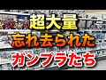 【ガンプラ】忘れてた大量の購入品を紹介！あのキットがこんな価格で！？これであと10年は戦える！？