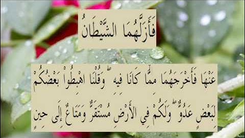 القران الكريم سورة البقرة الاية 36