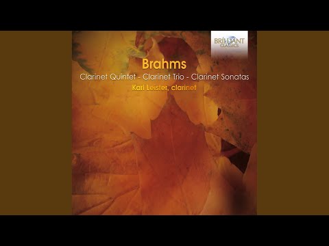 Clarinet Trio in A Minor, Op. 114: III. Andante grazioso
