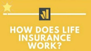 How does life insurance work ?