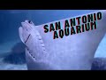 San Antonio Aquarium & Zoo