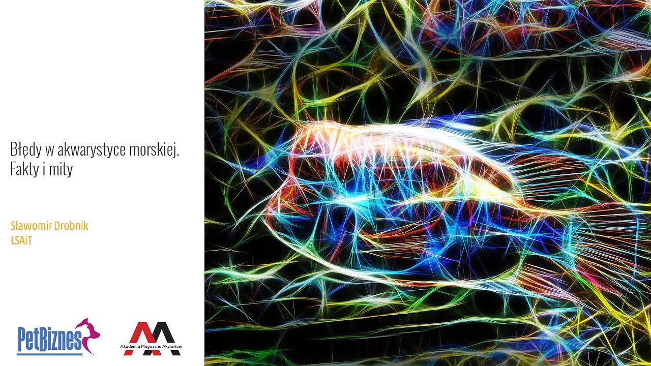 ptaki ciernistych krzewów cda Błędy w akwarystyce morskiej. Fakty i mity (Sławomir Drobnik, ŁSAiT)