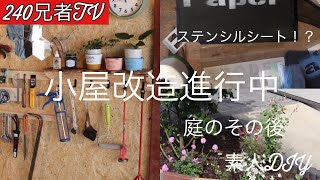 【素人DIY】庭のその後と小屋改造進行中！