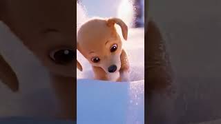 Tiny Puppy Digs Rapidly in Snow… Won’t Stop #cuteanimals