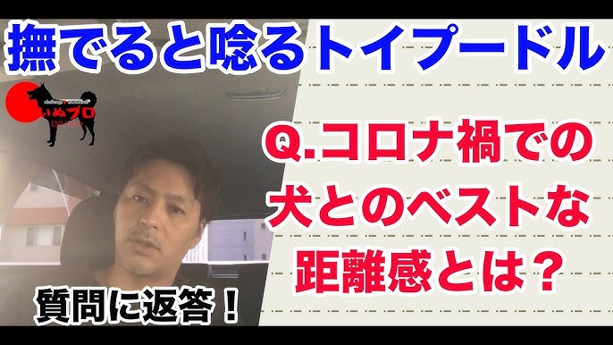質問に返答 撫でると唸るトイプードル Q コロナ禍での犬とのベストな距離感はありますか Psdドッグサポートセンター いぬプロ Inupro 犬のしつけ 教育 分離不安 犬の問題行動 Youtube 質問に返答 撫でると唸るトイプードル Q コロナ禍での犬とのベストな距離感はありますか Psdドッグサポートセンター いぬプロ Inupro 犬のしつけ 教育 分離不安 犬の問題行動 Youtube