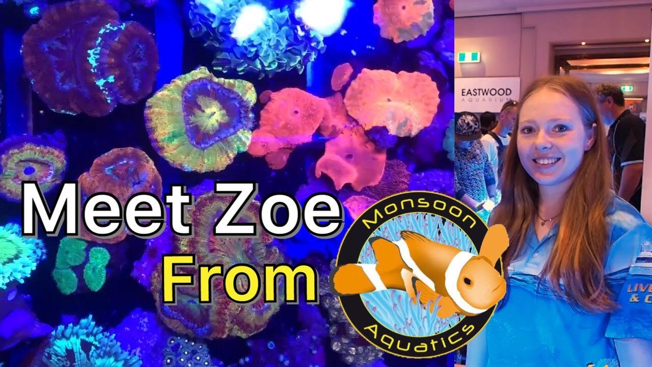 Meet Zoe from Monsoon Aquatics!!