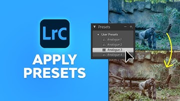 How to Apply Presets to Photos | Lightroom Tutorial