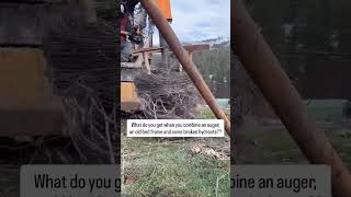 Work hard, but work smart