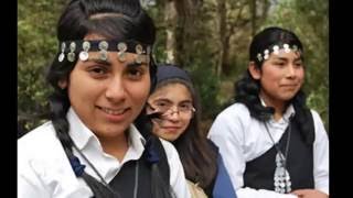 La Cultura de Chile: Los Mapuches y la raza oriunda de los chilenos Historia