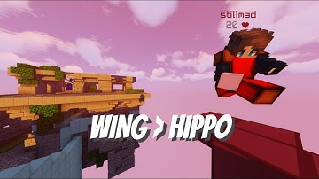 Proof That Having A Wing In Hypixel The Bridge Is Better Than Having A Hippo