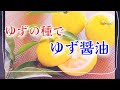 柚子の種の使い道*柚子醤油*ゆずレシピ