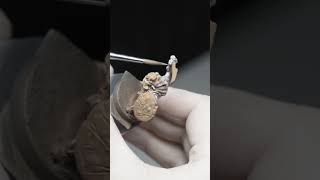 5am diaries - Episode 1 #paintingminiatures #miniature #warhammerminiatures