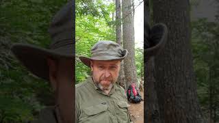 Camping &amp; Hiking with Zyn