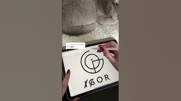 Master Logo Design with Igor
