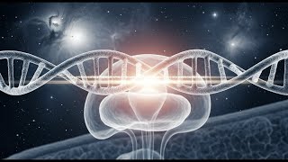Alpha Waves Heal Wounds in the Physical Form, Brain Massage During Sleep, Better Memory