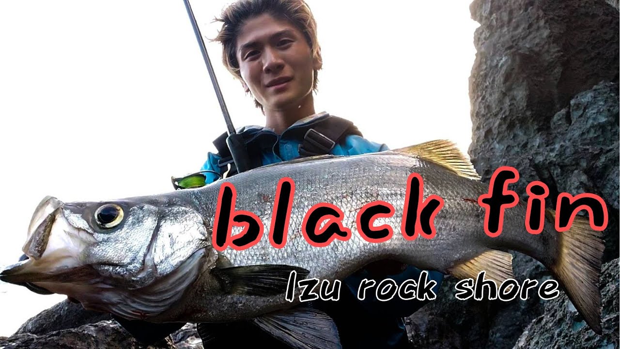 【伊豆】ロックショアヒラスズキ　サラシ打ち　南編