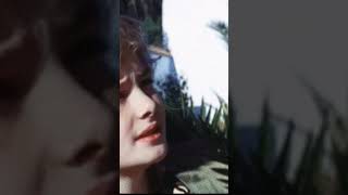 What Peeper Saw 1972 Movie Ending Explained In Telugu Based On True Events Movies Plot