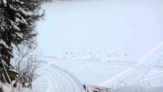СКС видео для 29fishing.ru(, 2014-01-25T09:22:19Z)