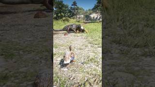 Don't take this seriously, it's a game play video.Ep161  #rdr2 #reddeadredemption #animals #gaming