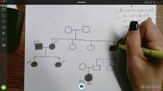 Genotypes and pedigrees
