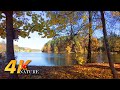 AUTUMN LAKE AMBIENCE | 3 hours | Birds Singing at the Lake and Water Sounds