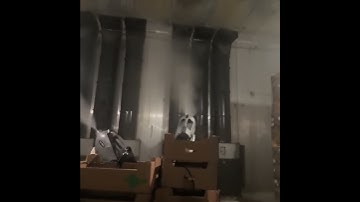 Уничтожение плесени, бактерий, вирусов, насекомых-паразитов в хранилищах, складах, силосах, Крым