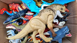 Hunting Jurassic World Dinosaur Toy ASMR Review